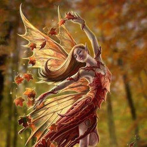 Meet your Posher, Eli